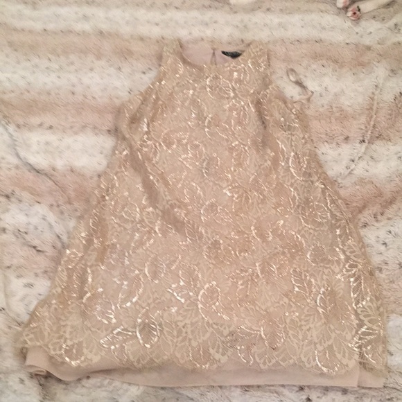 Ralph Lauren Tan and Gold A-Line Mini Dress - Picture 7 of 12